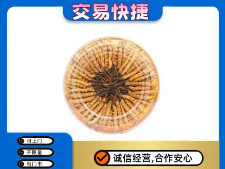 海西回收虫草礼盒